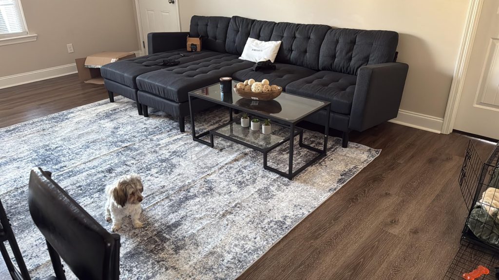 Aelenmu low pile area rug in a modern living room with sectional sofa and pet-friendly design