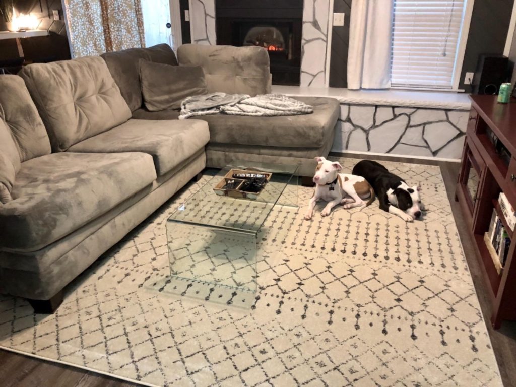 nuLOOM Moroccan Blythe area rug in a living room with dogs resting on it, showing pet-friendly durability and stain-resistant low pile design